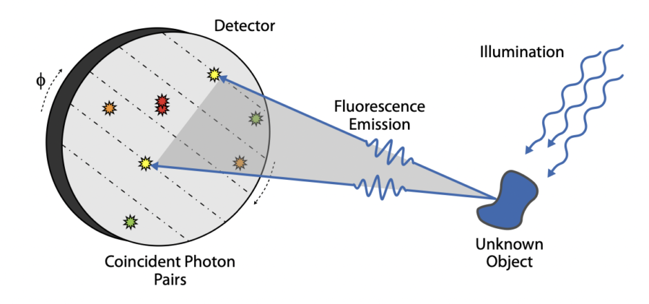 Imaging Trapped Ion Structures Via Fluorescence Cross Correlation